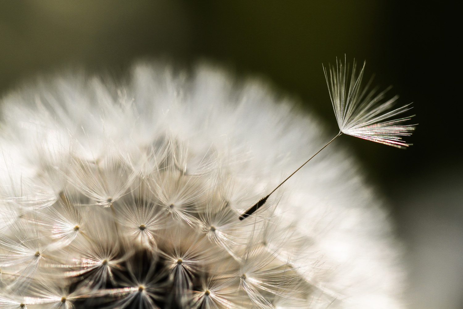 019-Einer-tanzt-aus-der-Reihe.jpg-skal