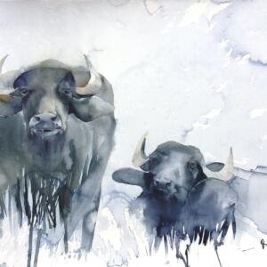 Indische-Wasserbüffel-2019-56-x-76-cm