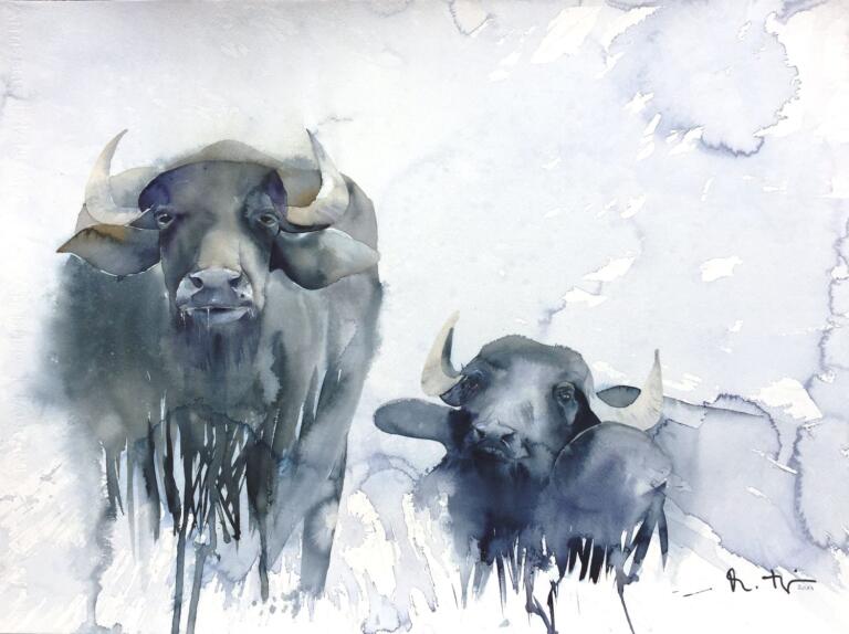 Indische-Wasserbüffel-2019-56-x-76-cm