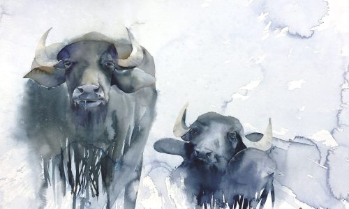 Indische-Wasserbüffel-2019-56-x-76-cm